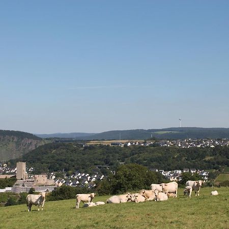 Ferienwohnung Auf Der Moselhoehe - Naehe Koblenz Und Cochem Dieblich Bagian luar foto
