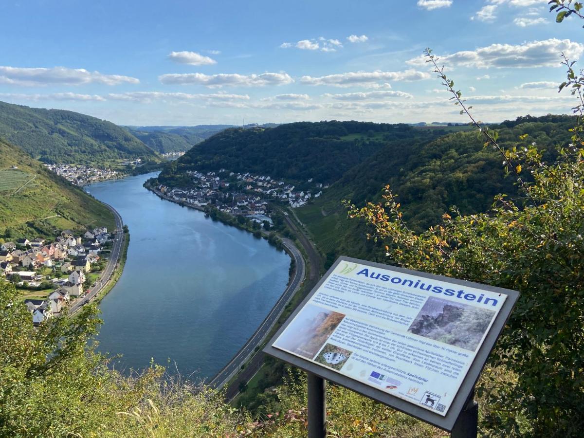 Ferienwohnung Auf Der Moselhoehe - Naehe Koblenz Und Cochem Dieblich Bagian luar foto
