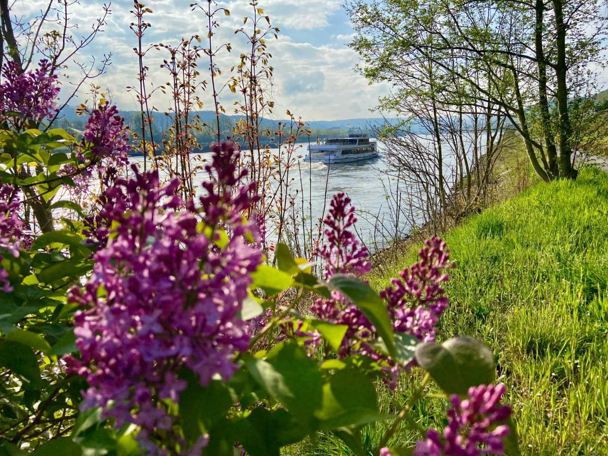 Ferienwohnung Auf Der Moselhoehe - Naehe Koblenz Und Cochem Dieblich Bagian luar foto