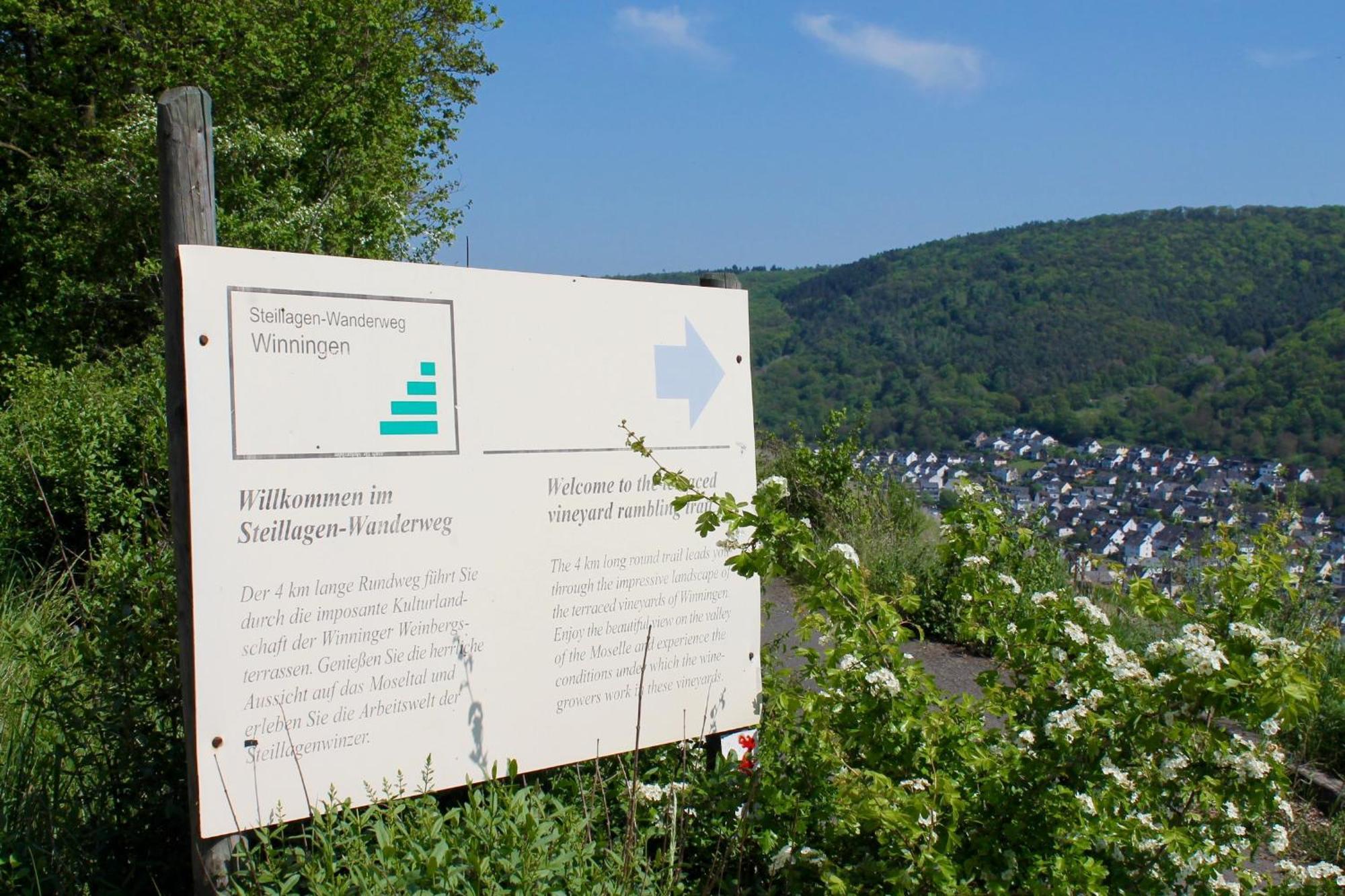 Ferienwohnung Auf Der Moselhoehe - Naehe Koblenz Und Cochem Dieblich Bagian luar foto