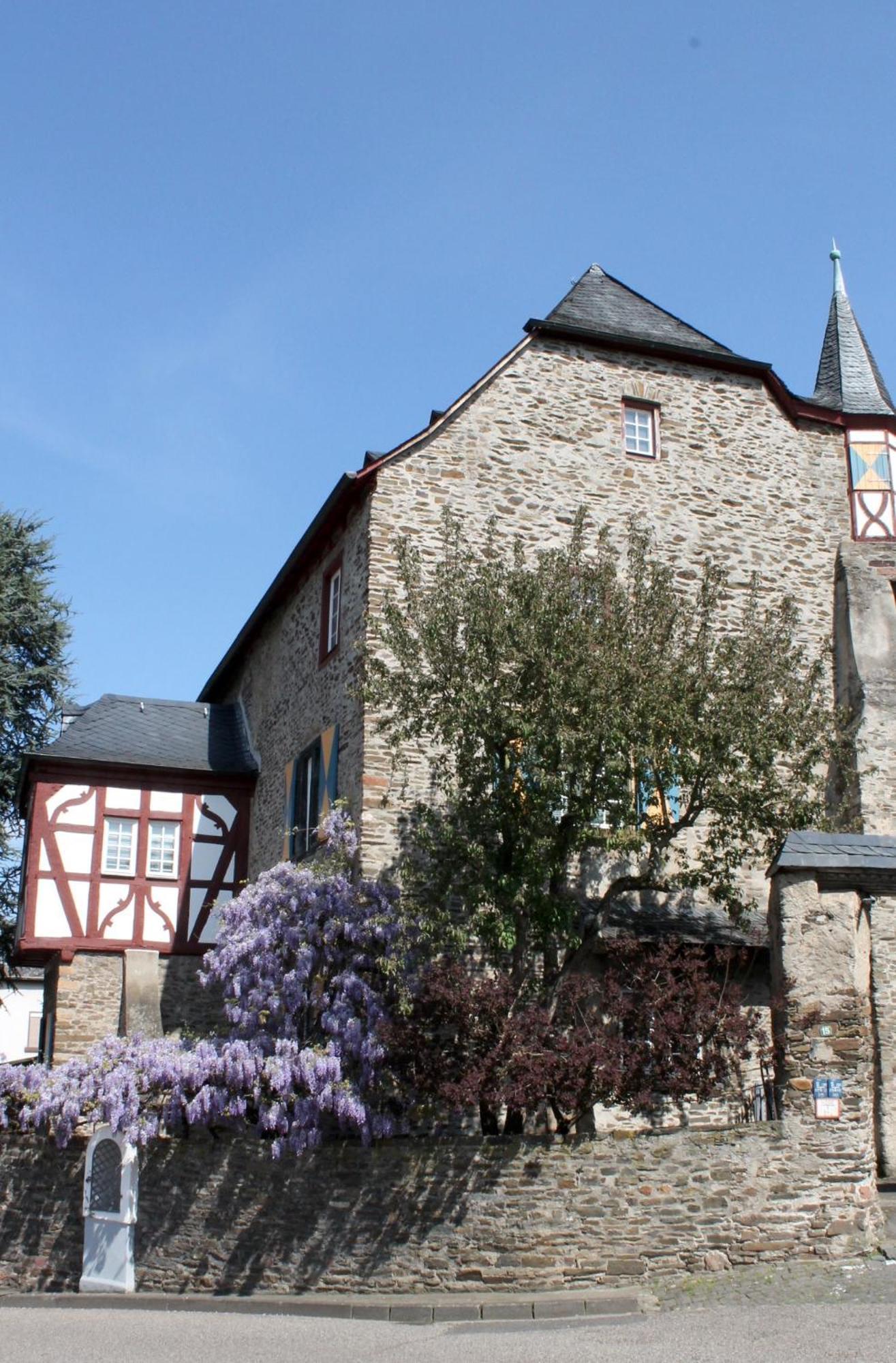 Ferienwohnung Auf Der Moselhoehe - Naehe Koblenz Und Cochem Dieblich Bagian luar foto