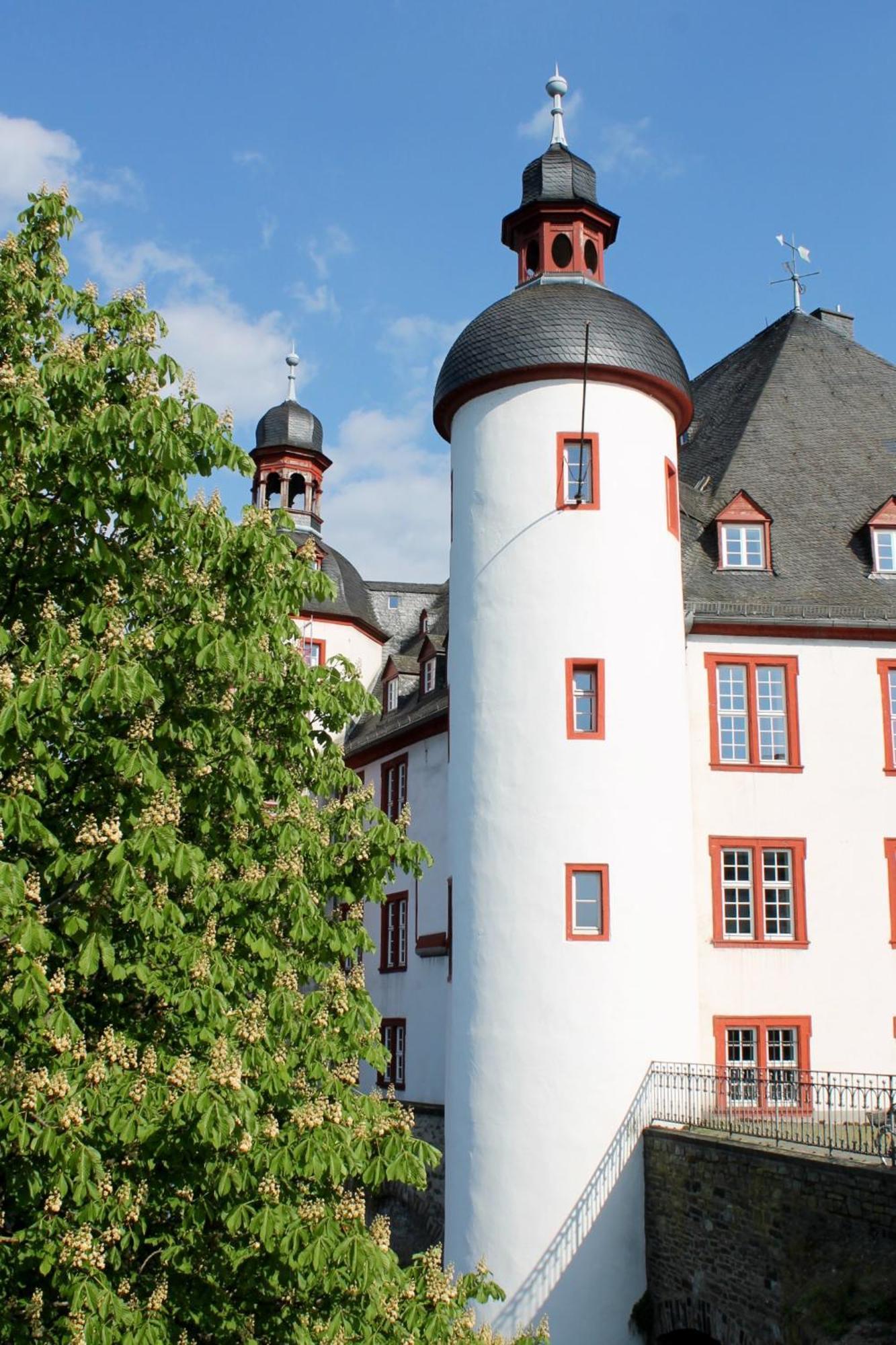 Ferienwohnung Auf Der Moselhoehe - Naehe Koblenz Und Cochem Dieblich Bagian luar foto