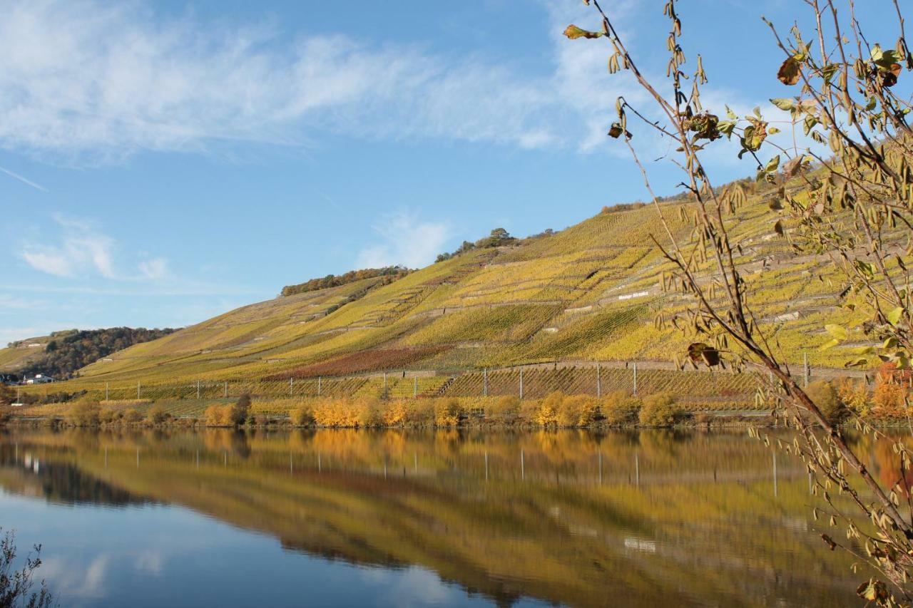 Ferienwohnung Auf Der Moselhoehe - Naehe Koblenz Und Cochem Dieblich Bagian luar foto